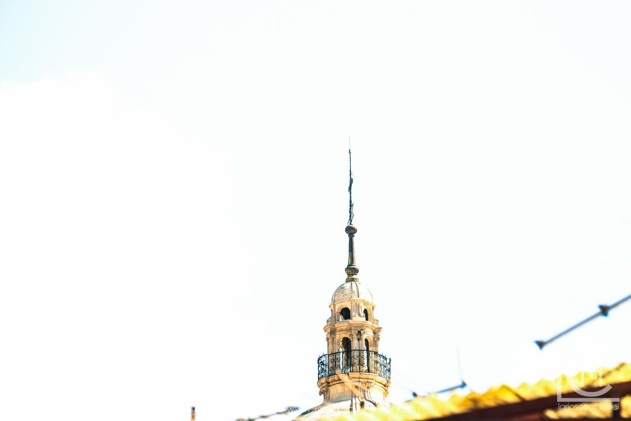 Larios Cool Hostel Málaga Exteriör bild